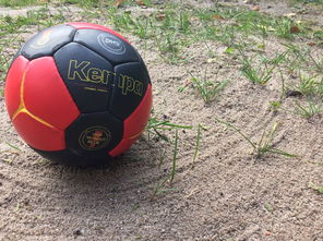 爱游戏-全国老年人健身球操赛展银发激情，老年健身球类