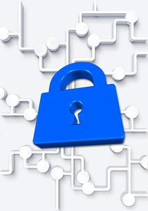 AYX SPORTS-高校体育社团管理数字化平台构建方案，全国性体育社团